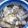 特殊な自由業's cooksnap of when they made 鯛のあら煮おやじ流.