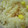 柳さき's cooksnap of when they made とうもろこしの炊き込みごはん.