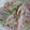 わこたこ's cooksnap of when they made もやしのからし和え～レンジで.