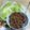 yu-みん's cooksnap of when they made ひき肉のレタス巻き.