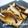 yukiはぴ's cooksnap of when they made しいたけのシンプル焼き♪.