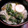 ちこたーん's cooksnap of when they made トロトロかぶと鮭のみぞれうどん.