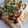 なおゆみい's cooksnap of when they made しゃきしゃきもやしと卵のお好みトースト.