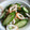 ★しょひこ★'s cooksnap of when they made 簡単^^きゅうりのゆかり和え.