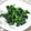とろままちゃん's cooksnap of when they made ほうれん草のおひたし　.