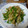 K/S's cooksnap of when they made ピーマンとえのきの炒め物.