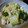 K/S's cooksnap of when they made 白菜と鶏ささみの和えもの.