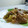 morgen08's cooksnap of when they made 豚とえのきのオイスターソース炒め。.