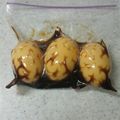 サーフブレイド's cooksnap of when they made とろとろ～♪半熟味つき卵♪.
