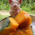ピンクのこぶた's cooksnap of when they made 手早いっ☆かぼちゃの煮つけ☆.