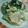 tomayan's cooksnap of when they made エビとブロッコリーのコクうまサラダ.