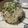 ぐりとぐらの姉's cooksnap of when they made レモングラスの炊き込みご飯♡.
