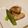 るるおか's cooksnap of when they made チーズとリンゴのポーク巻き☆.