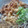 SORAKH's cooksnap of when they made ネギと揚げ炒め～♪.