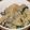 ばりゅ～ん's cooksnap of when they made 簡単カキご飯.