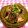 せがわたつゆみ's cooksnap of when they made たこと里芋の煮物.