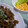 Ｈug's cooksnap of when they made ごぼうとこんにゃくの炒り煮.