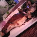 HAPPYBird's cooksnap of when they made バルサミコソースde白身魚のソテー.