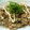 うさぎー's cooksnap of when they made さんまの蒲焼きで簡単炒めご飯♪.