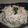 Michonchon's cooksnap of when they made 大根とツナのマヨサラダ.