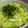minami1977's cooksnap of when they made もう一品☆白菜の即席漬け.