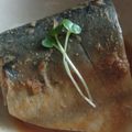 大和みかん's cooksnap of when they made 鯖の味噌煮.
