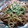 SORAKH's cooksnap of when they made 豚の生姜焼き✾サクサクれんこんのっけ.