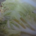 そひょん's cooksnap of when they made 白菜だけのポン酢鍋.