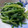 みっくママ's cooksnap of when they made ほうれん草のしょうが和え.