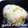 yukiはぴ's cooksnap of when they made オイスターソースで中華おにぎり.