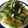 こうまさmam's cooksnap of when they made 顆粒だしで簡単味付け♪水菜の醤油パスタ.