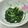 サーフブレイド's cooksnap of when they made ほうれん草と豆腐のスープ〜離乳食〜.