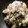 maruru-nn's cooksnap of when they made アジの梅塩昆布たたき.