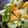 maruru-nn's cooksnap of when they made 柿＊りんご＊かぶ　秋の果物と野菜のサラダ.