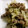 maruru-nn's cooksnap of when they made 牛肉とジャガイモの洋風炒め.