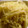 maruru-nn's cooksnap of when they made もやしの卵とじ.