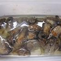 まーうー's cooksnap of when they made 旬の牡蠣で！オイル漬け.