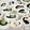 naonaos's cooksnap of when they made ハンペンクルクル…辛子マヨ.