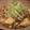 マトリョーシカさん。's cooksnap of when they made 秘伝!!我が家の本格?マーボー豆腐♪.