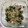 ひろあや母's cooksnap of when they made もやしとわかめのやみつきナムル.