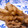 kikikko's cooksnap of when they made 豚ロースと長芋の生姜炒め.