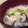 yappyパクパク's cooksnap of when they made ≪割烹白だし≫かぶと卵のとろふわスープ.