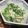 きらり流れ星's cooksnap of when they made 明日葉マヨ和え.