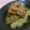 ピンクのたまご's cooksnap of when they made 桜えびとセロリのピリ辛炒め.