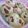 miyuki12's cooksnap of when they made ほっくり☆スイートポテト蒸しパン.