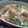 PAM's cooksnap of when they made あつあつ！とろ～り☆ホウレン草のグラタン.