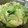 アズーロコンパクト's cooksnap of when they made 簡単あっさり♪青梗菜の卵煮.