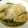 アズーロコンパクト's cooksnap of when they made 鶏ムネ肉のみぞれ煮.
