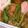 みや☆なな's cooksnap of when they made いんげんとベーコンのバター炒め.