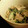 ＊Ｍｅ−ｍａｍａ＊'s cooksnap of when they made きゅうりとささみ☆マヨぽんあえ♥.